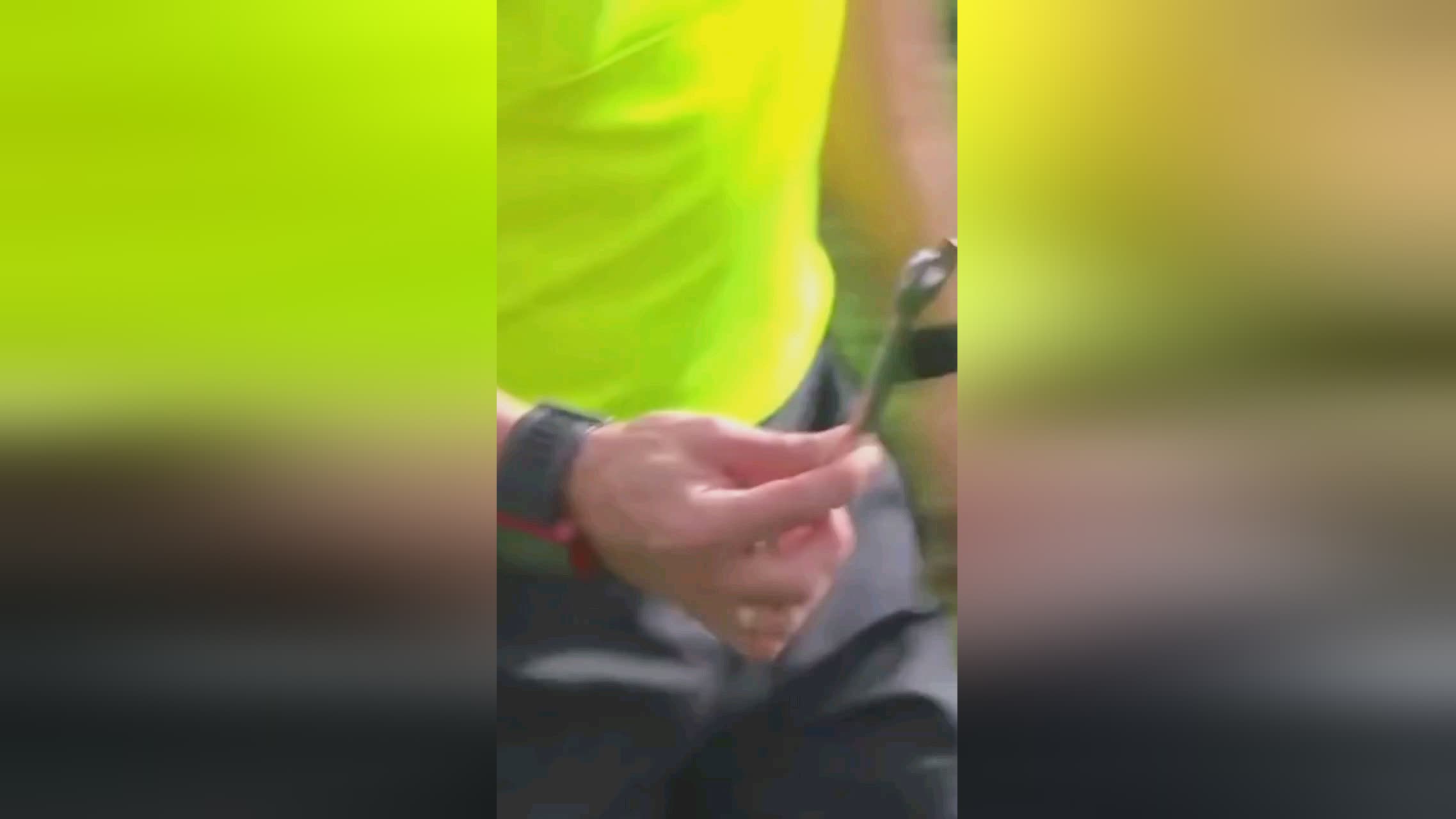 新掌握